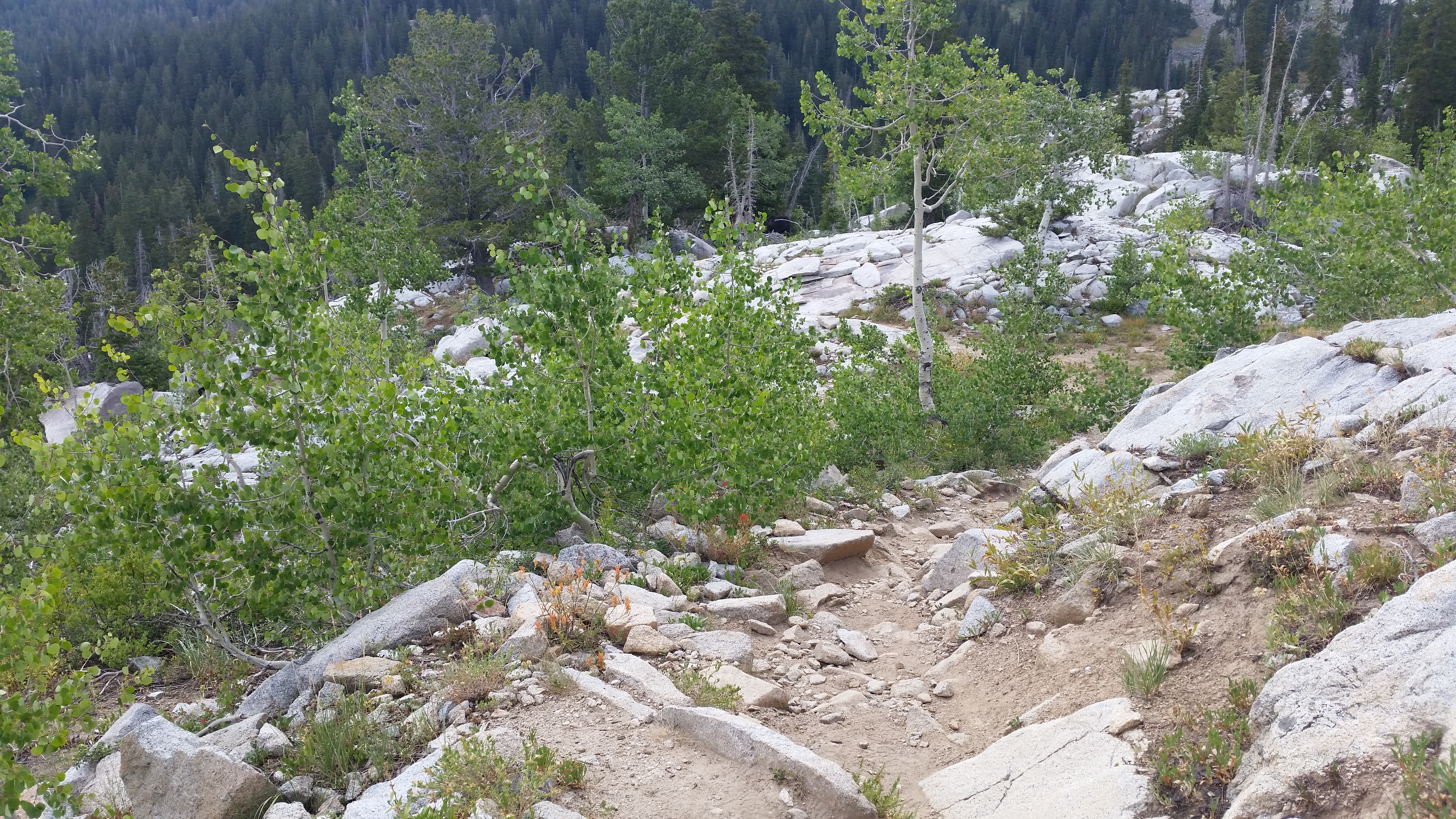 Snowbird – Utah · 2016